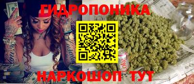 spice Бузулук