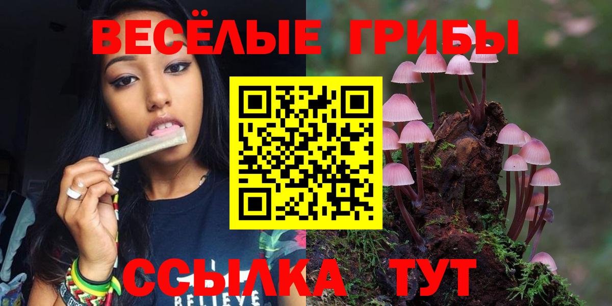Галлюциногенные грибы GOLDEN TEACHER  Вход с VPN  купить наркотик  Луховицы 